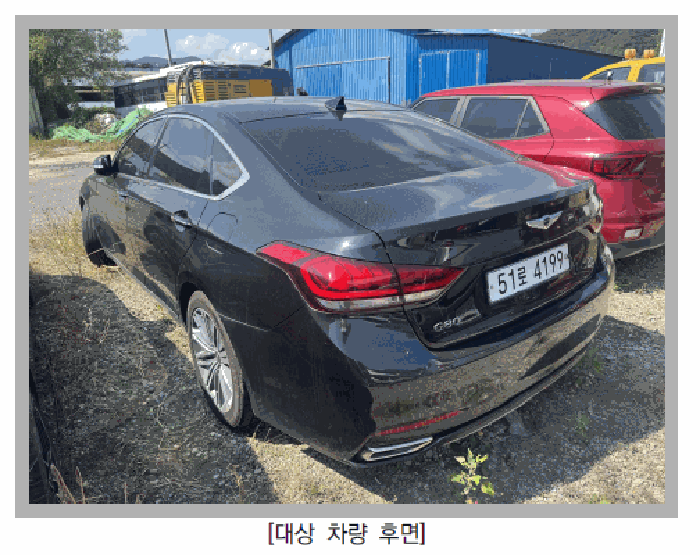 사진 5