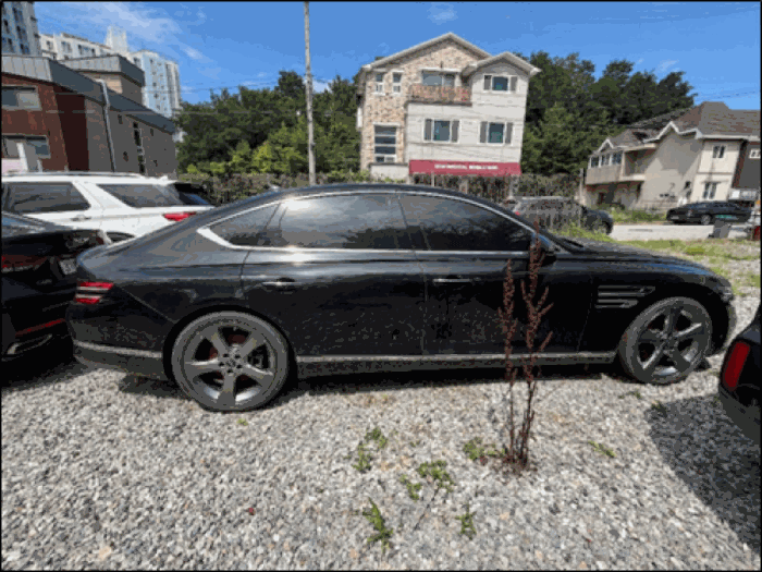 사진 8