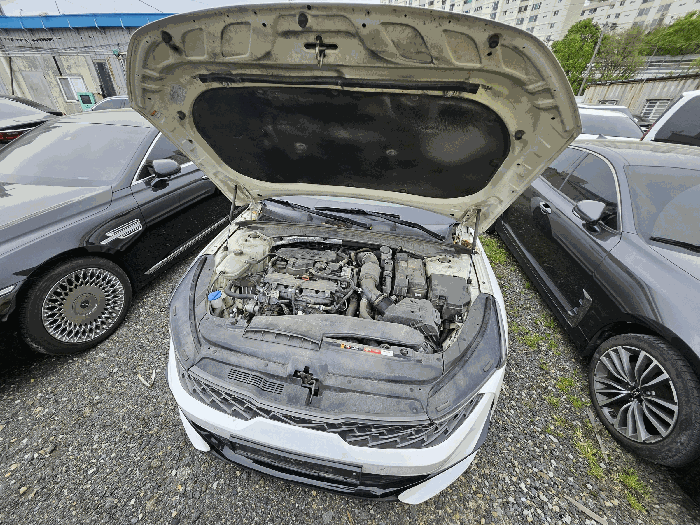 사진 11