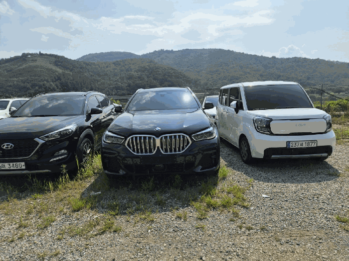 BMW X6 xDrive40i 사진