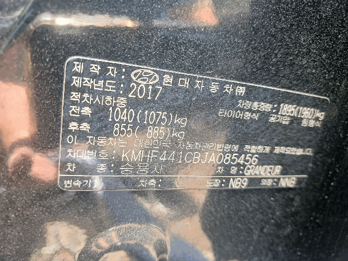 사진 12