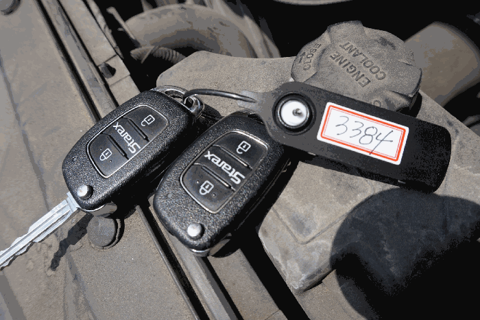 사진 11