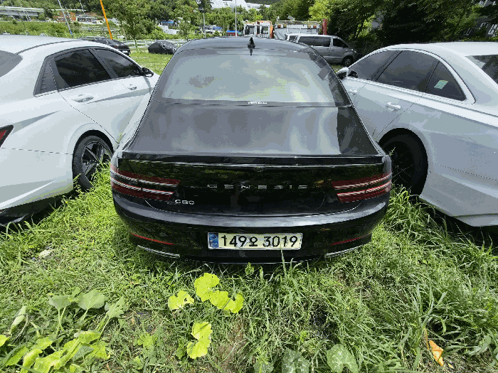 사진 7