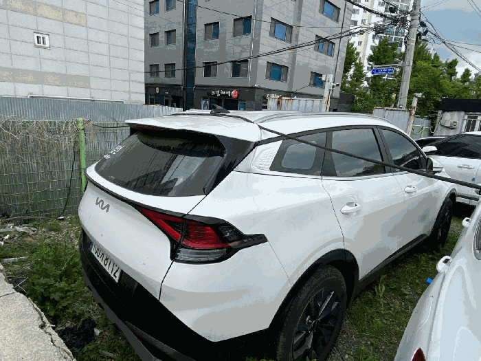 사진 10
