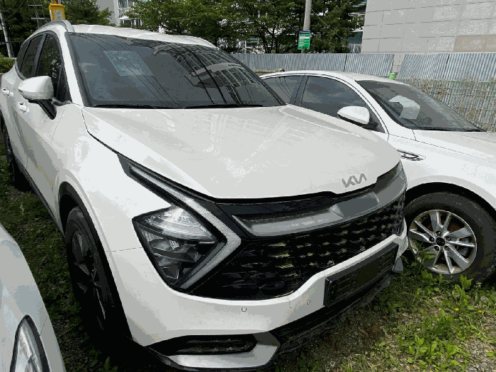 사진 6