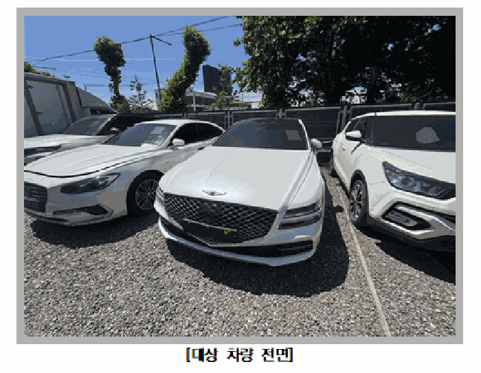 사진 2