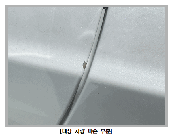 사진 6