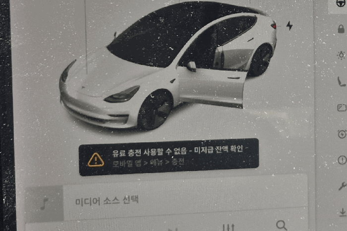 사진 11