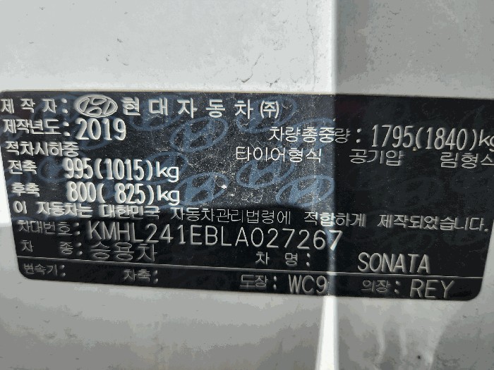 사진 10