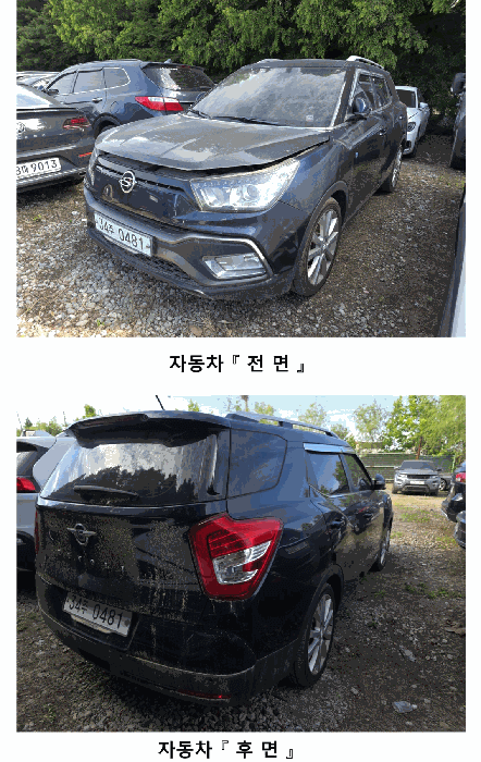 사진 2