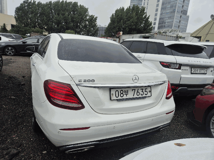 사진 6