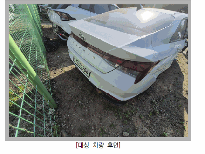 사진 2