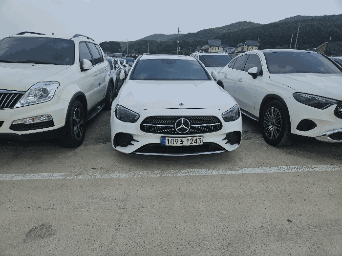 사진 3