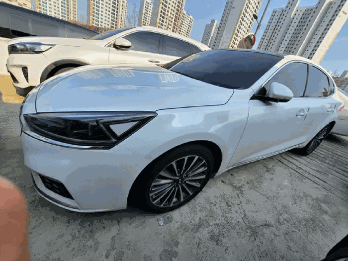 사진 8