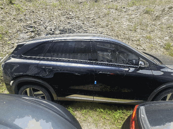 사진 15