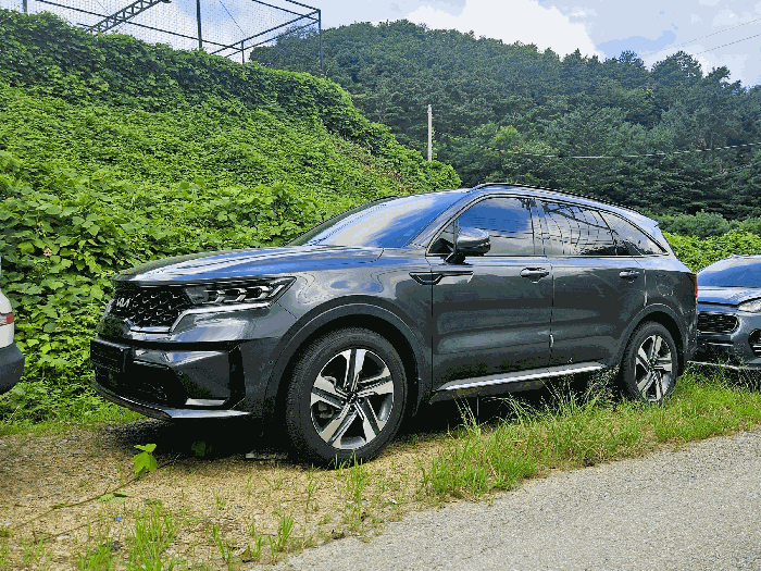 사진 2