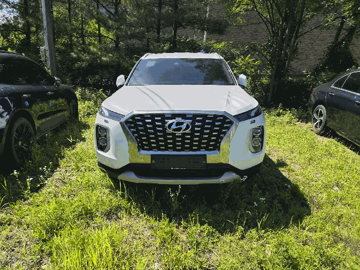 사진 3