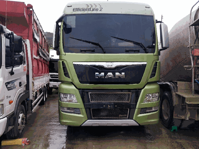 TGX 사진
