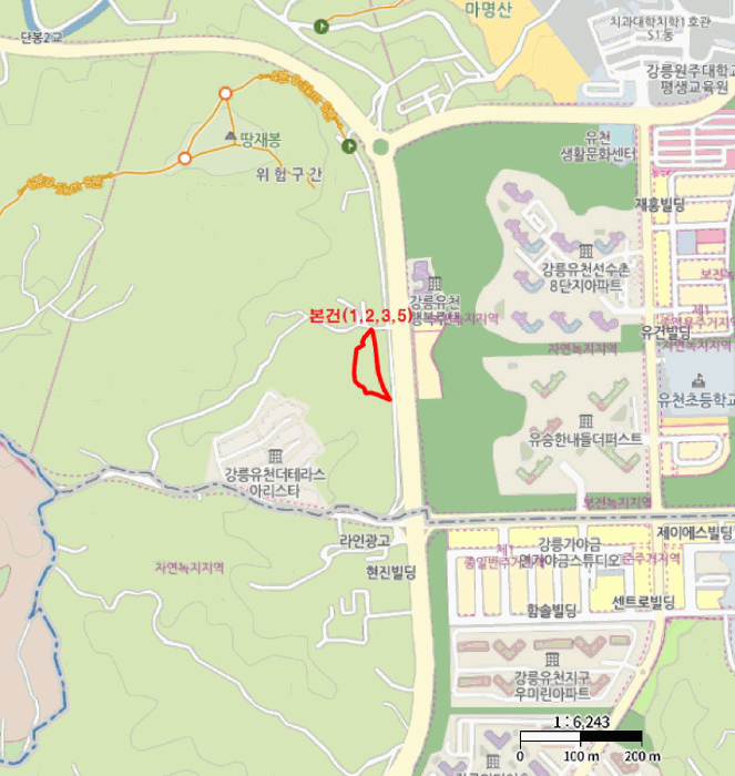 아반떼 사진