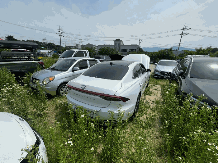 사진 8