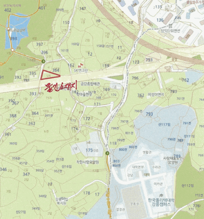 박스터 사진