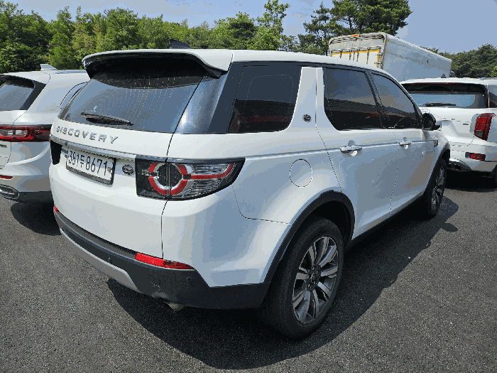 사진 12