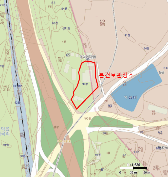 스토닉 사진