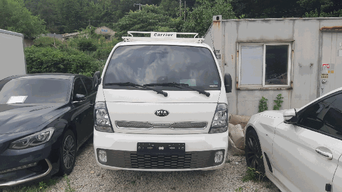봉고 사진
