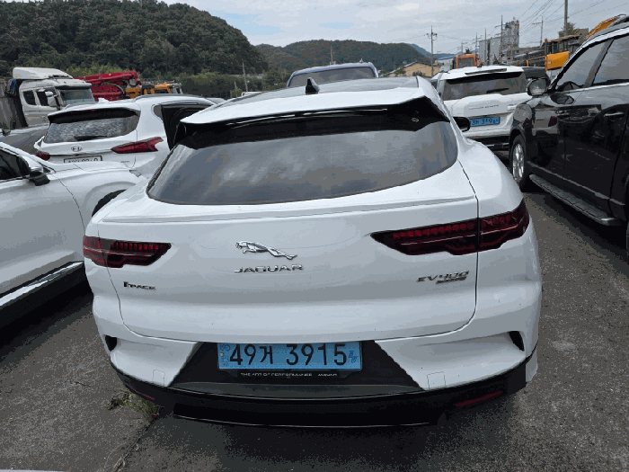 사진 3