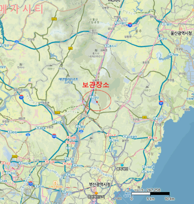 사진 2