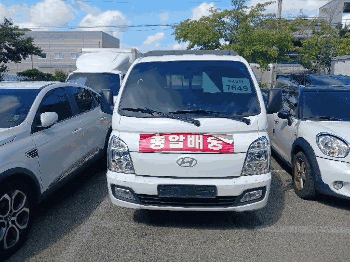 포터 사진