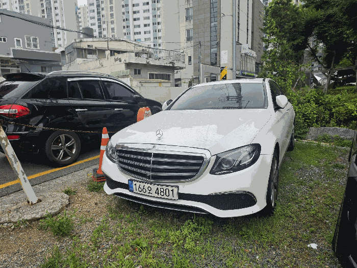 사진 2