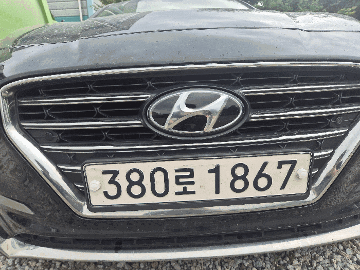 사진 11