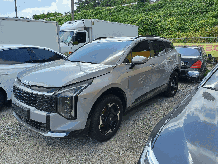 사진 10