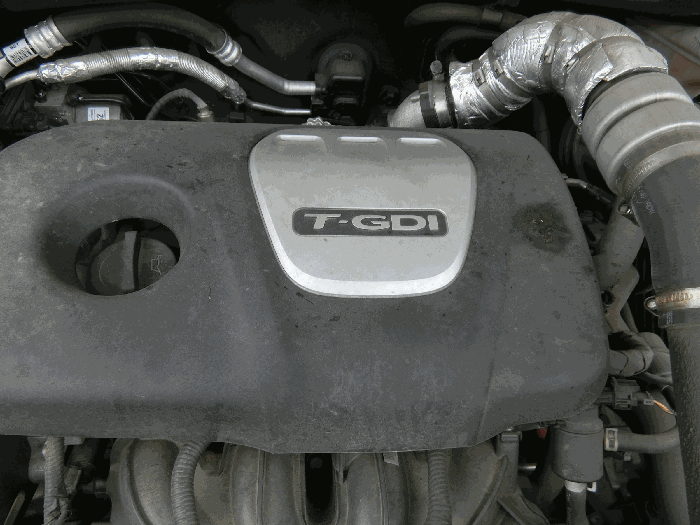 사진 19