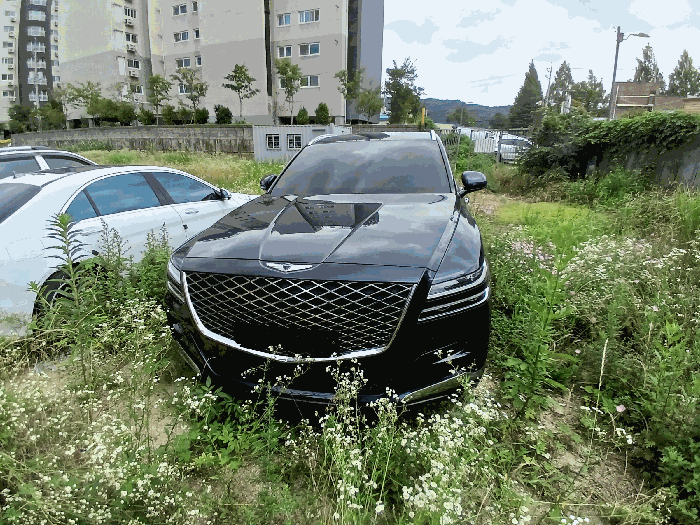 사진 9