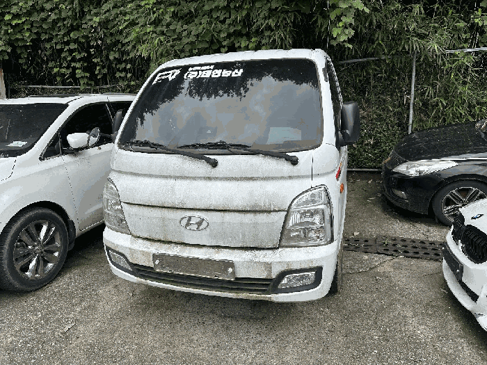 사진 11