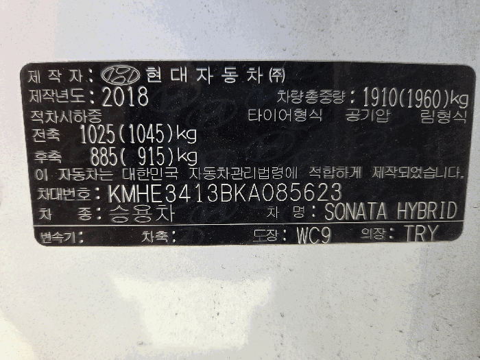 사진 10