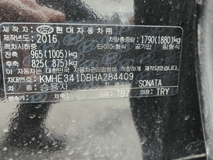 사진 10