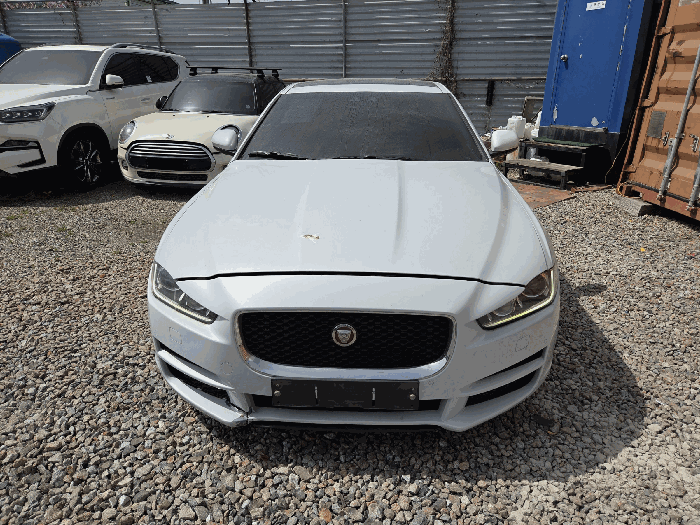 XE 사진
